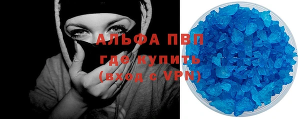 сатива Зеленокумск