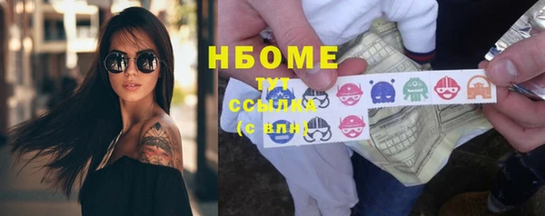 сатива Зеленокумск