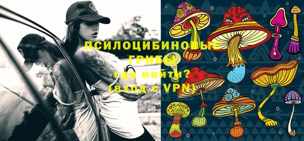 сатива Зеленокумск