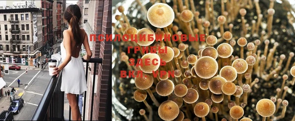 ECSTASY Зеленодольск