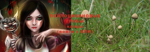 ECSTASY Зеленодольск