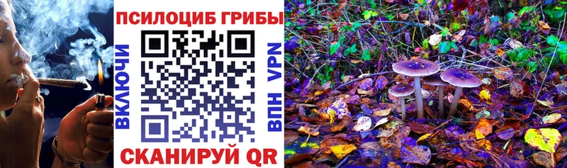 Купить закладки  Россошь  Псилоцибиновые грибы Magic Shrooms 