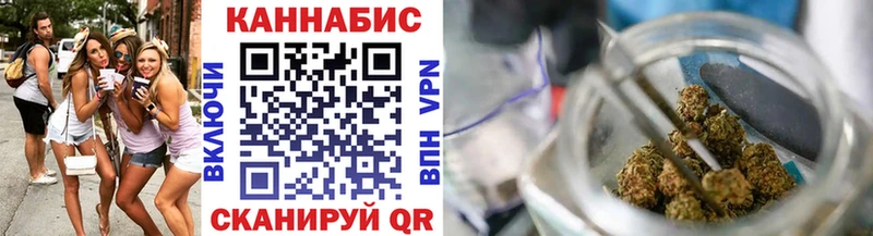 Купить где  Россошь  Конопля ГИДРОПОН 